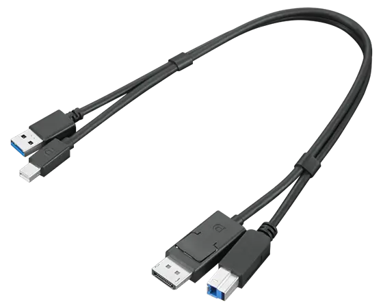 

Lenovo ThinkStation mDP + USB-A 3.0 to DP + USB-B 3.0 Dual Head Cable