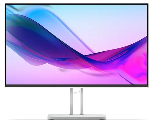 Lenovo L24i-4A 23.8" Monitor