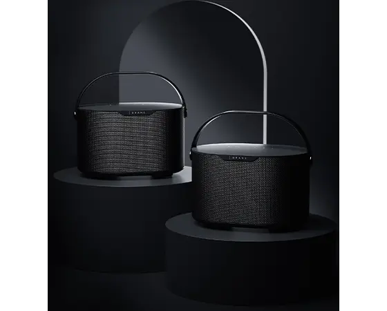 Brane X Smart Speaker with True Internal Subwoofer - Black