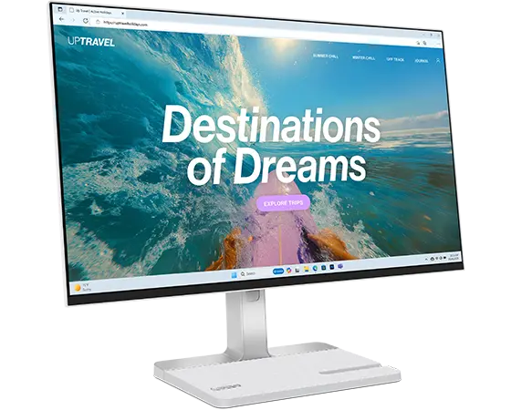 Lenovo L24D-4C 23.8 inch Monitor