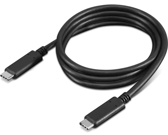 foragte Skjult flyde Lenovo USB-C Cable 1m | Lenovo US