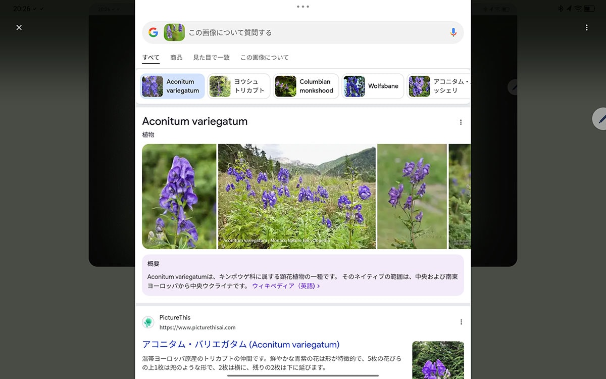 囲った部分の検索結果が表示される。非常に利便性の高い機能だ