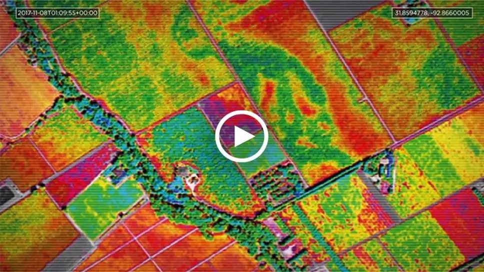 thermal photo of farm fields