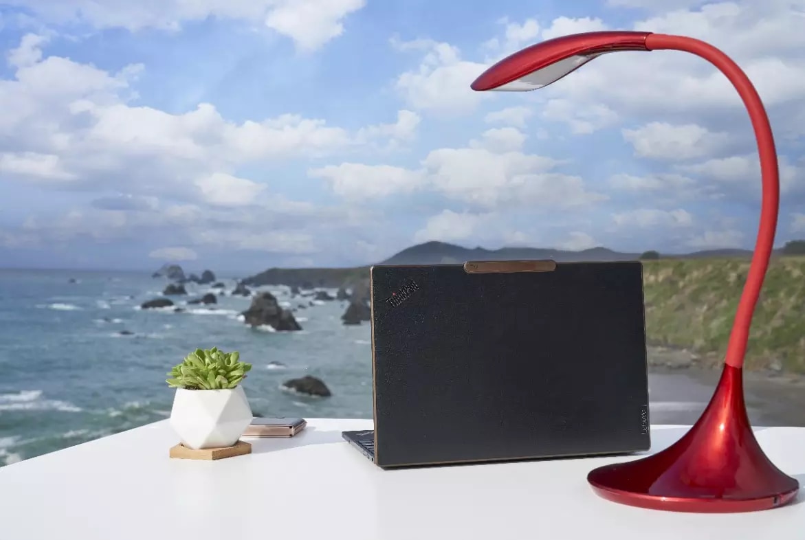 Photo illustration depicting an open laptop on a table near an oceanside cliff, alongside a small lamp and houseplant.