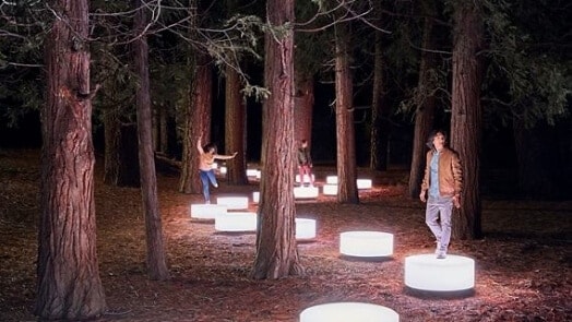 People on lighted disks in a forest