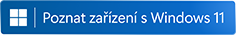 Windows logo