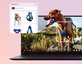 portable montrant l’image d’un chien dans l’écran et un carré de sélection activés pour la recherche