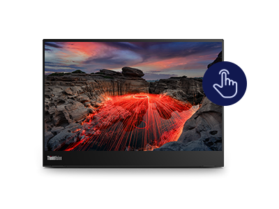 ThinkVision 23.8 inch Monitor - T24m-20