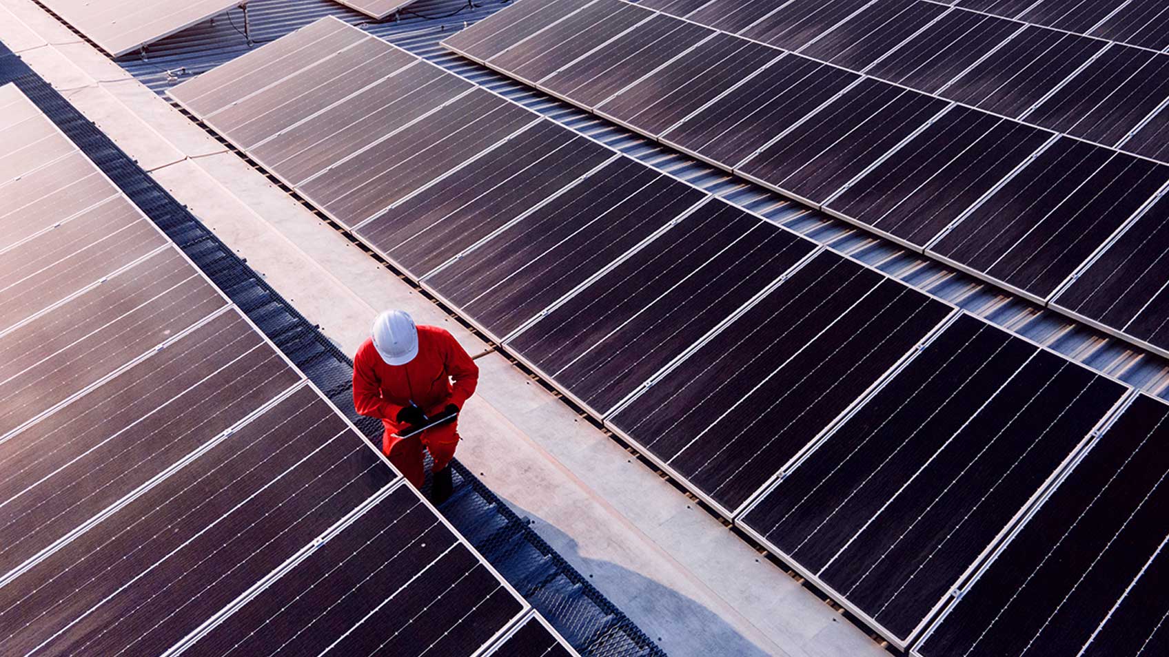 A person working in a solar panel field.