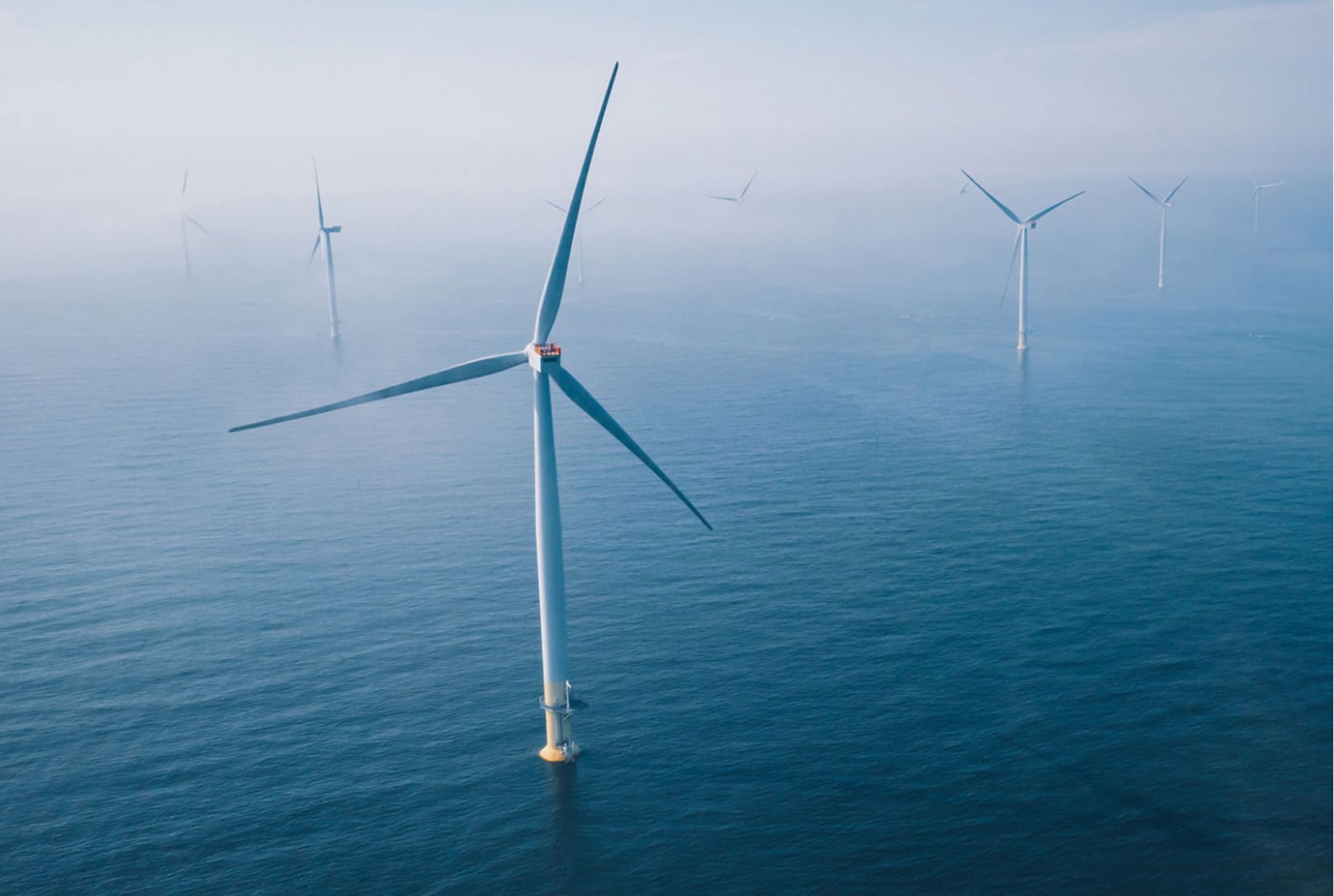 Wind turbines in the ocean