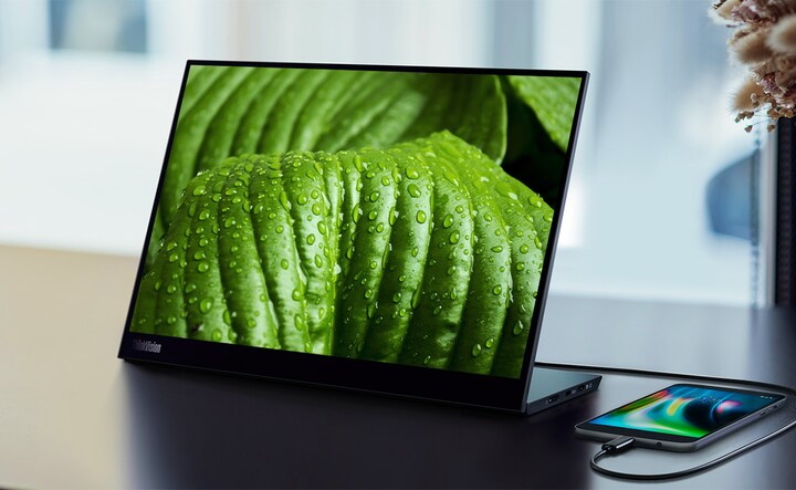Display LCD 14.0" Slim LED Per Laptop - Ricambio Compatibile Con LP140WHU(TP)(D1) / LP140WHU TP D1 - Siliconvalleystore