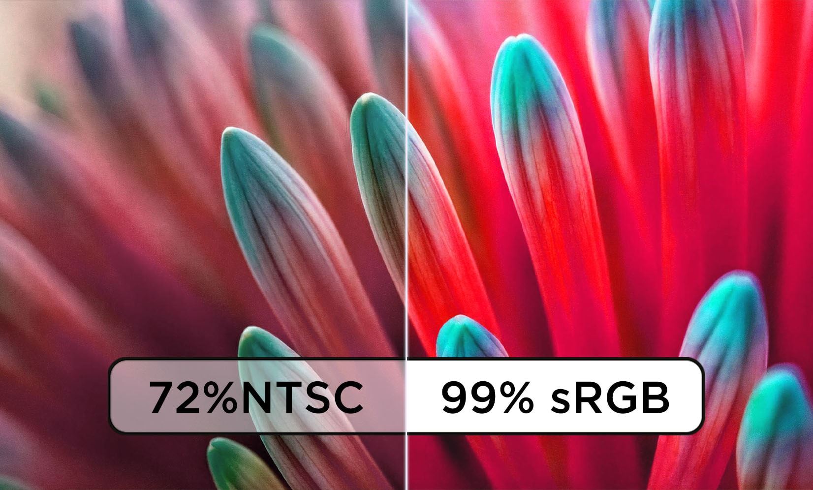 Impressive Image Clarity