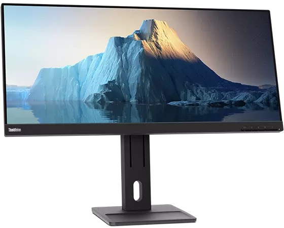 ThinkVision 29 inch Monitor - E29w-20 | 62CEGAR3US | Lenovo US