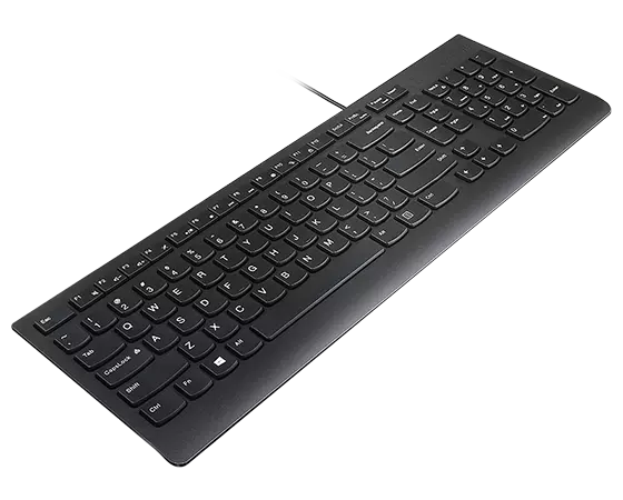 

Lenovo Essential Wired Keyboard (Black) - UK English 166