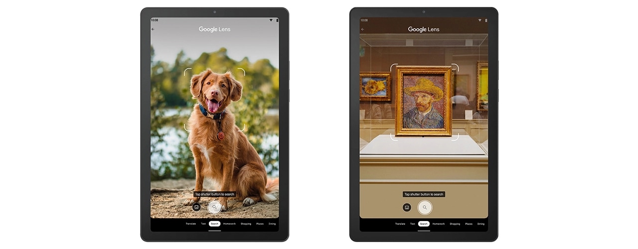 Google Lens being used on Lenovo Tab M9 tablet to take picture of a dog and Van Gogh painting