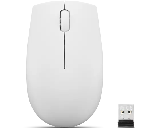 

Lenovo 300 Wireless Compact Mouse (Cloud Grey) with battery