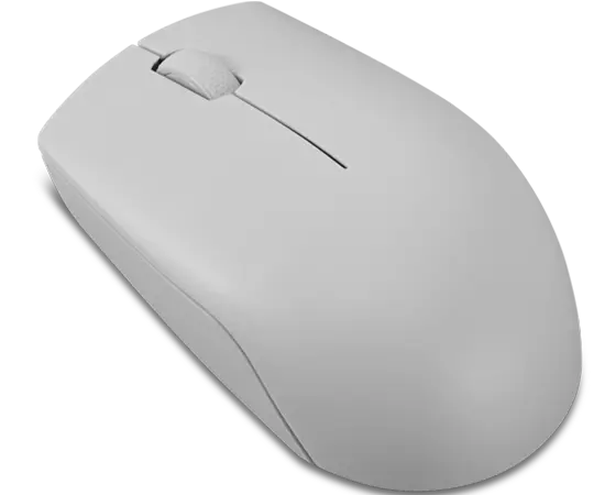 Lenovo 300 Wireless Compact Mouse (Arctic Grey)